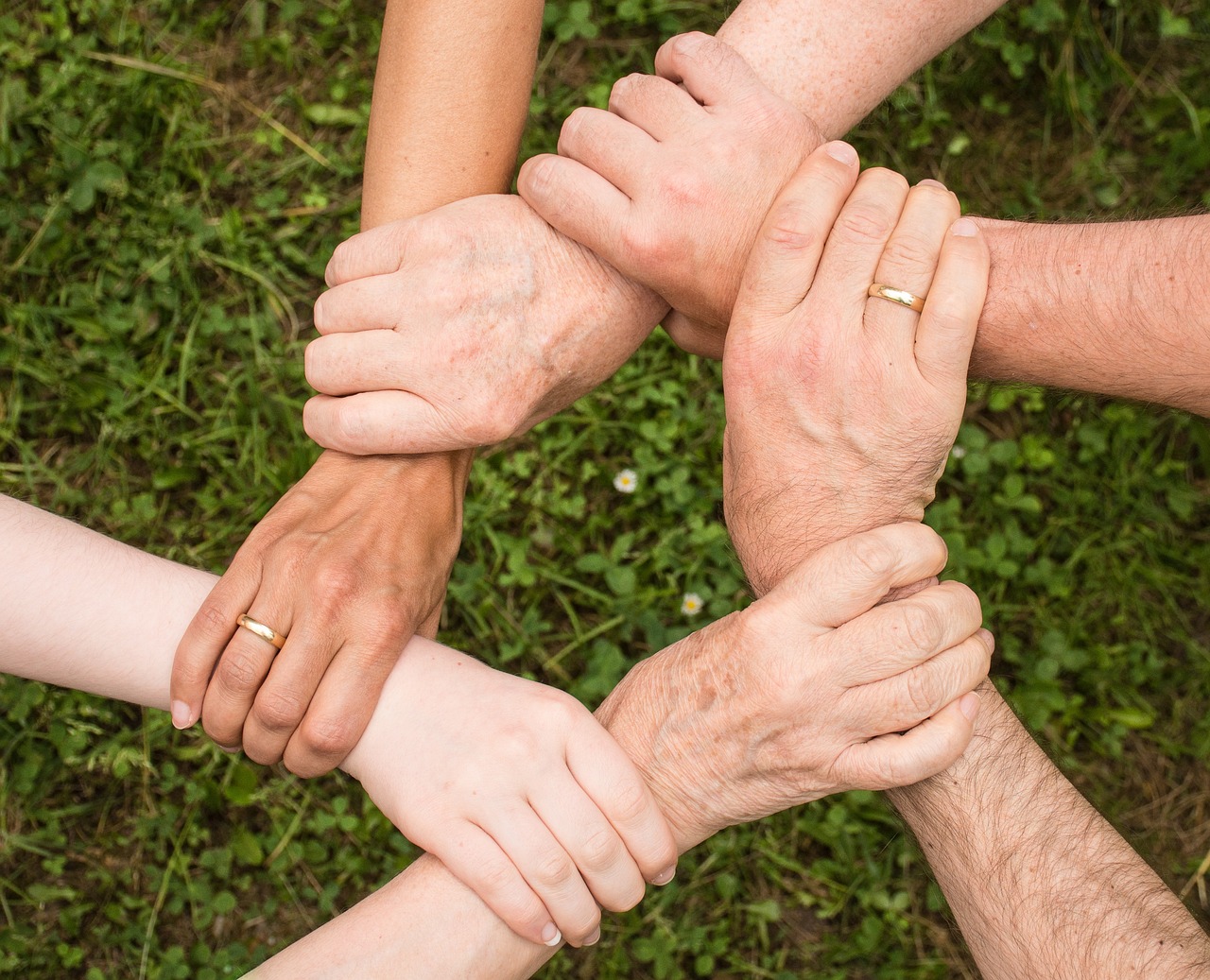 Family Law ARC Law